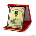 PLAKET ÇEŞİTLERİ